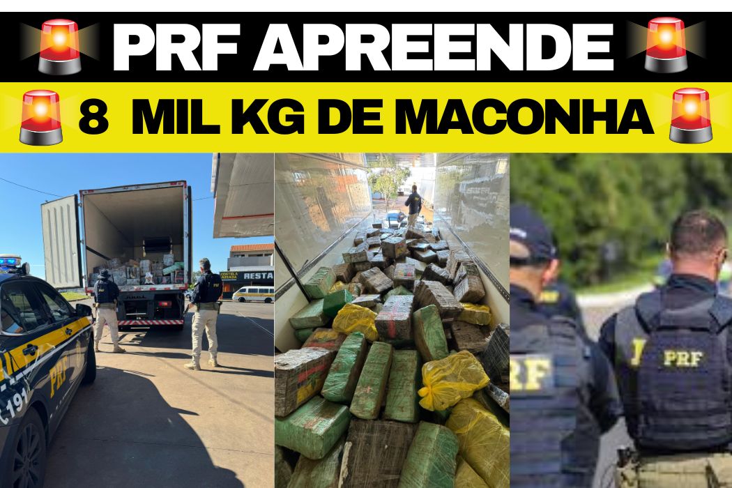 PRF apreende quase 8 toneladas de maconha em Cambé (PR)