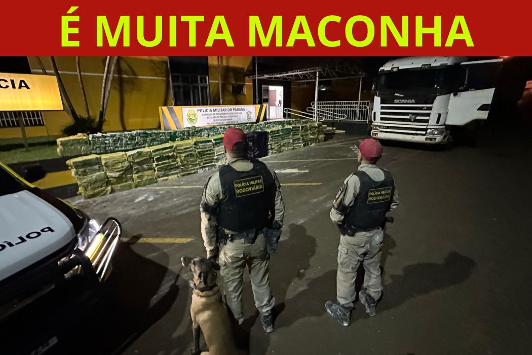 🚨Caminhão com quase 3 toneladas de maconha é apreendido pelo Batalhão Rodoviário em Cianorte