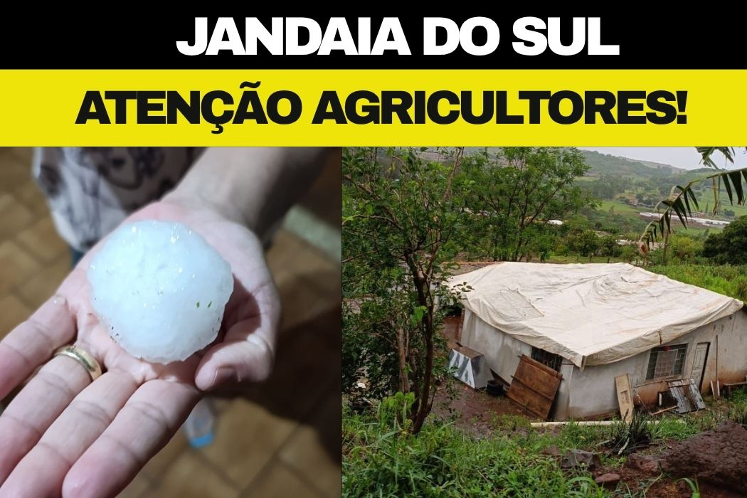ATENÇÃO! Prefeitura orienta agricultores de Jandaia do Sul afetados pela chuva de granizo a registrarem prejuízos