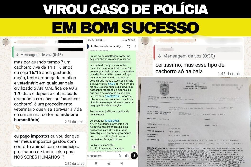 REVOLTA EM BOM SUCESSO: Secretário de Educação de Bom Sucesso causa revolta ao defender morte de animais de rua