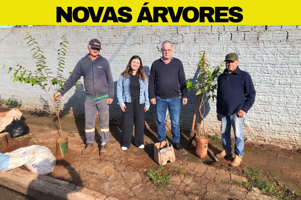 JANDAIA DO SUL: Prefeitura Municipal inicia novo plantio de árvores pela cidade