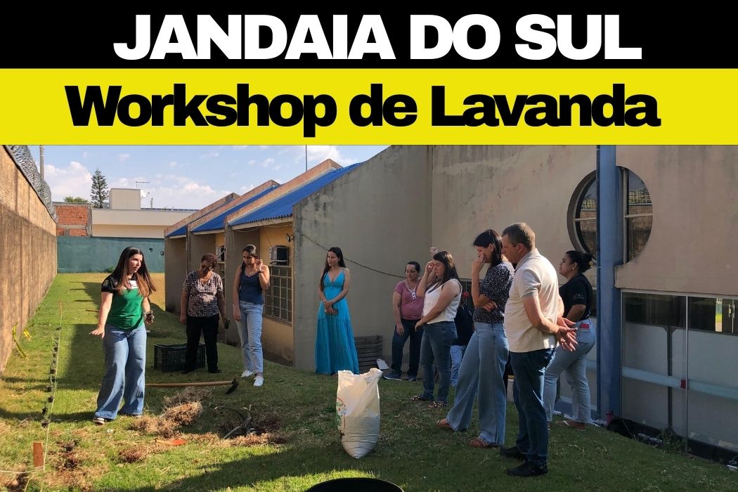 VEJA AS FOTOS: Prefeitura de Jandaia do Sul realiza Workshop de Lavanda com foco em cultivo