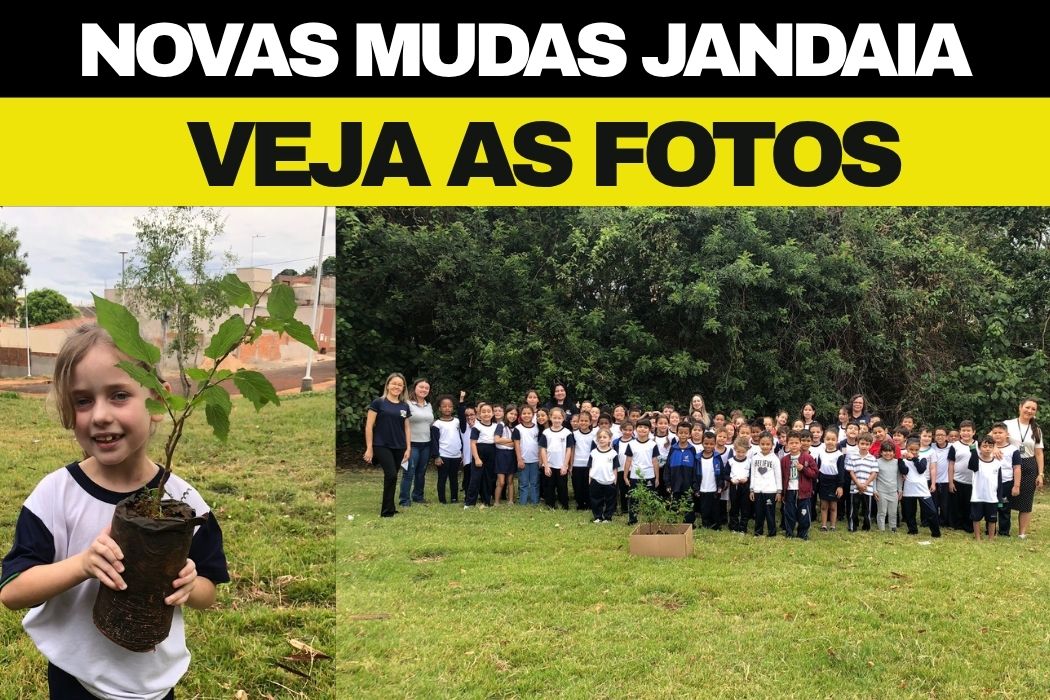 VEJA AS FOTOS: Prefeitura de Jandaia do Sul realiza plantio de mudas com alunos da Escola Municipal Olavo Bilac