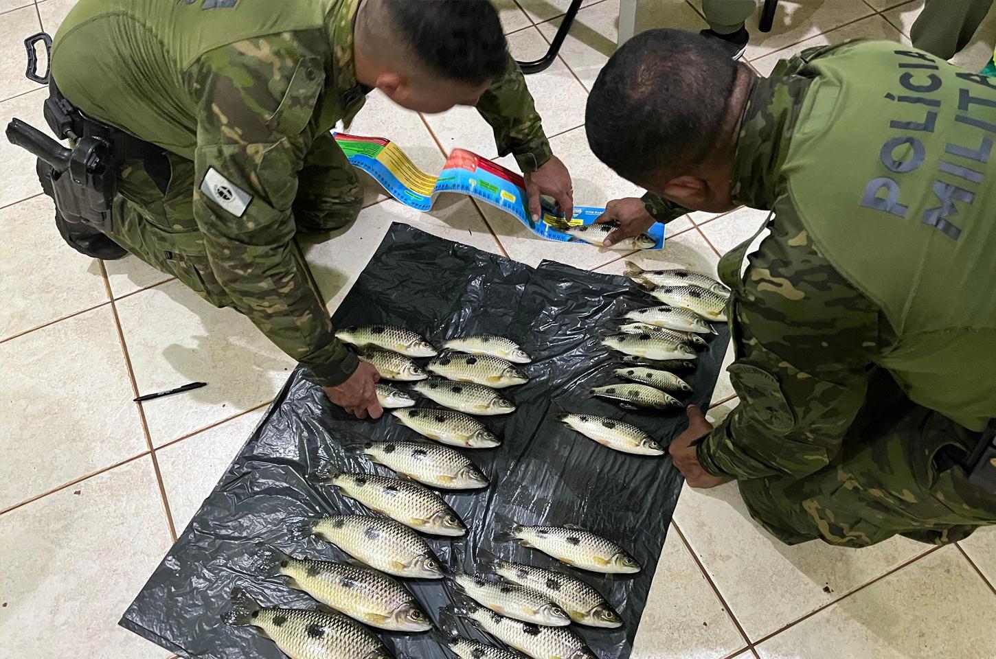 POLÍCIA MILITAR AMBIENTAL REALIZA PRISÃO POR PESCAR ESPÉCIES COM TAMANHO INFERIOR AO PERMITIDO EM ICARAIMA/PR