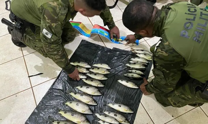 POLÍCIA MILITAR AMBIENTAL REALIZA PRISÃO POR PESCAR ESPÉCIES COM TAMANHO INFERIOR AO PERMITIDO EM ICARAIMA/PR